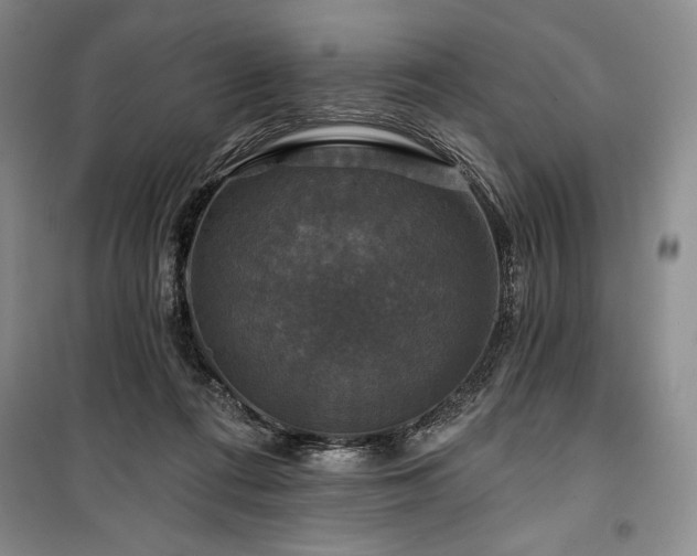 X0000100370312200806131043