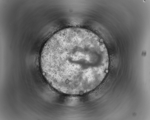 X0000100370313200806131043