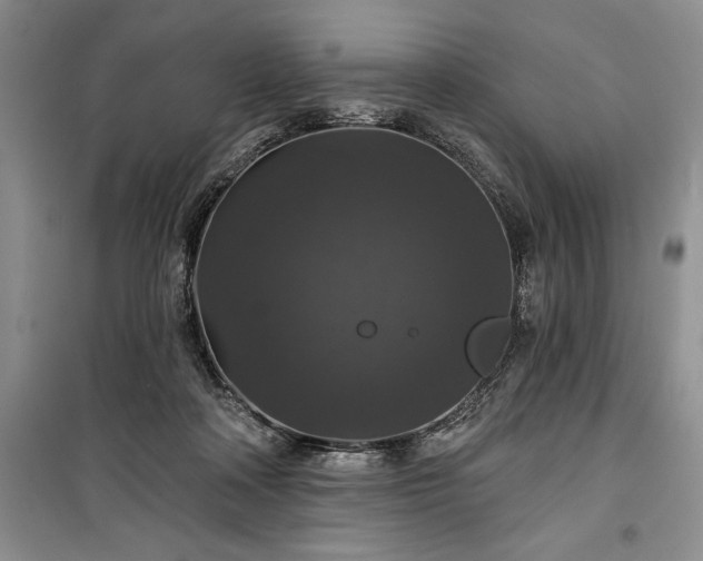 X0000100370314200806131043