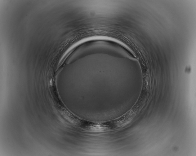 X0000100370316200806131043