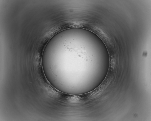 X0000100370318200806131043