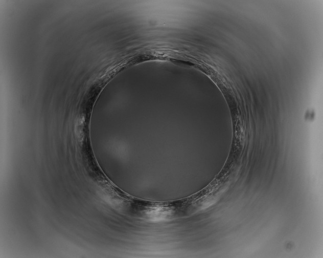 X0000100370319200806131043