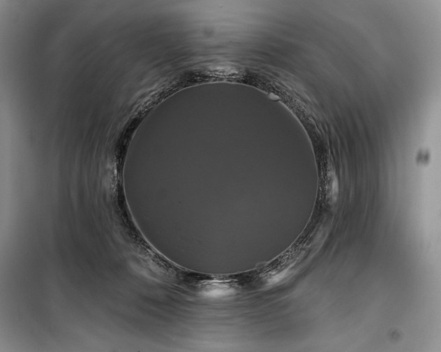 X0000100370320200806131043