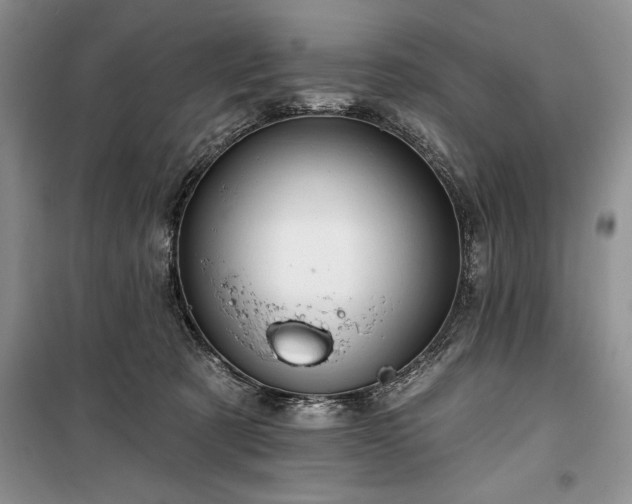 X0000100370321200806131043