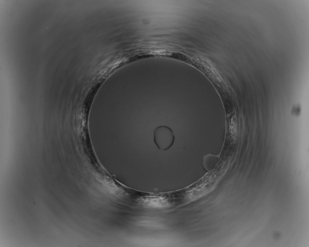 X0000100370322200806131043