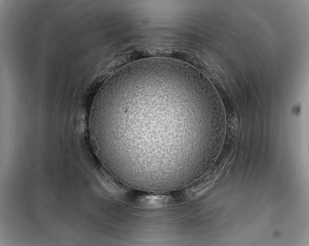 X0000100370323200806131043