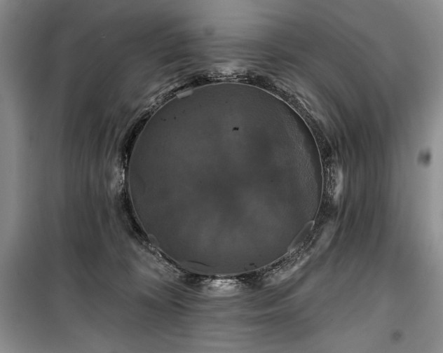 X0000100370324200806131043