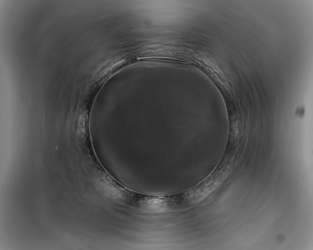 X0000100370325200806131043