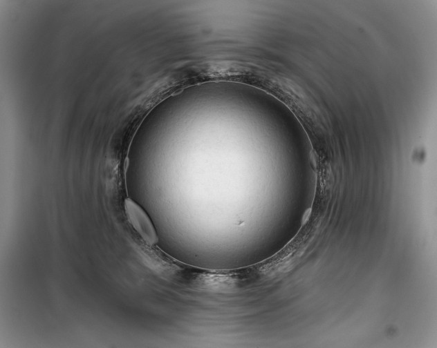 X0000100370327200806131043