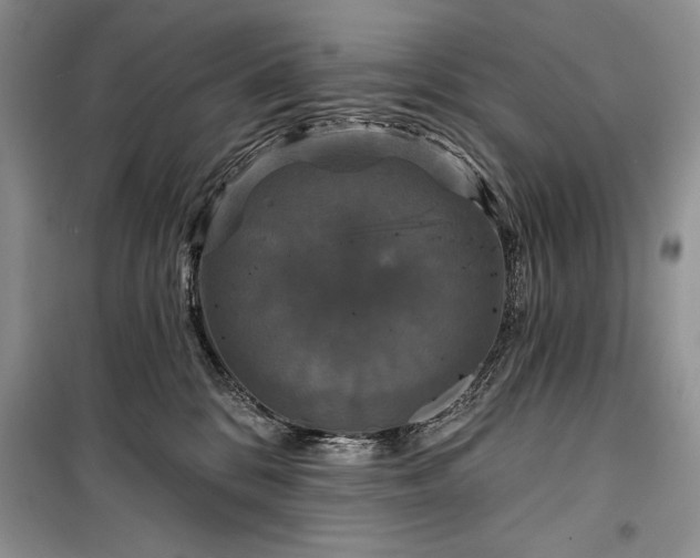 X0000100370328200806131043