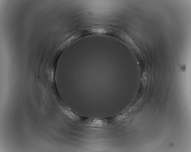 X0000100370330200806131043