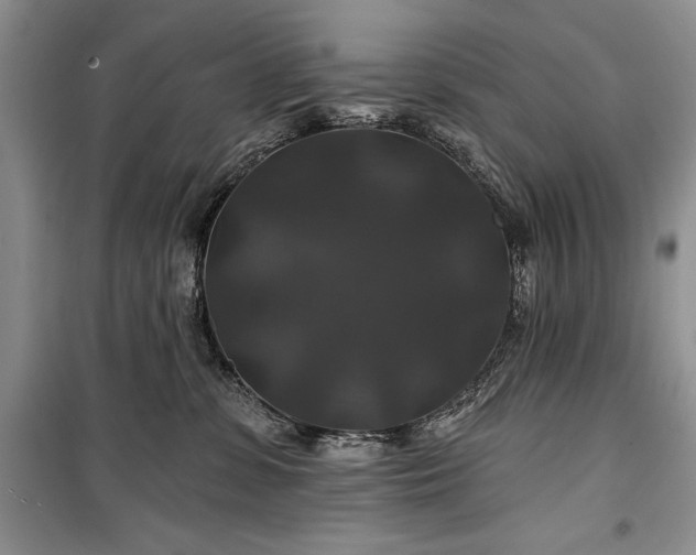 X0000100370331200806131043