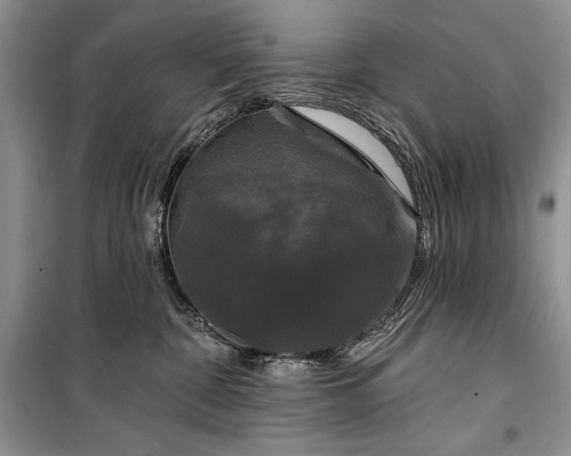 X0000100370332200806131043