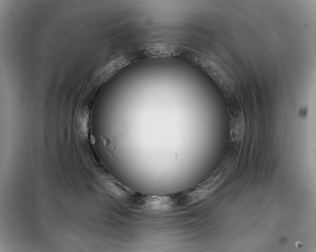 X0000100370334200806131043