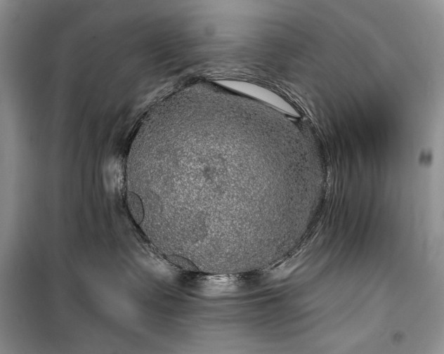 X0000100370335200806131043