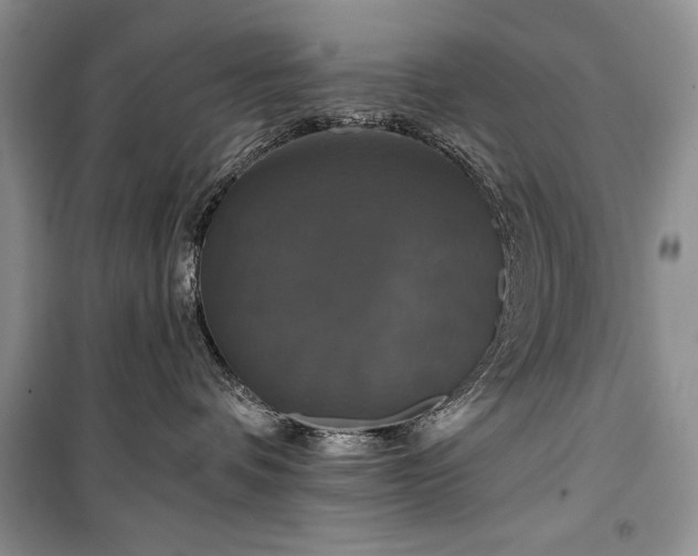 X0000100370336200806131043