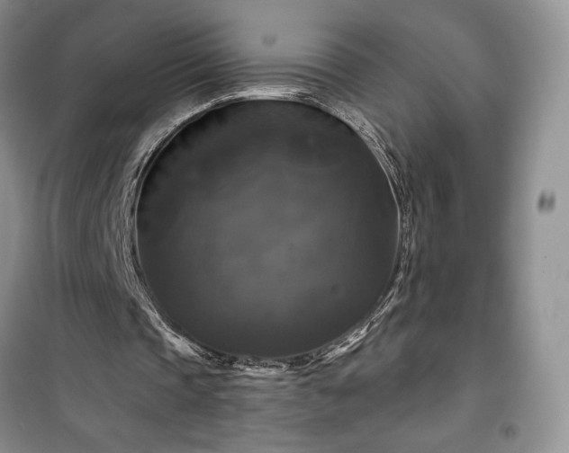 X0000100370337200806131042