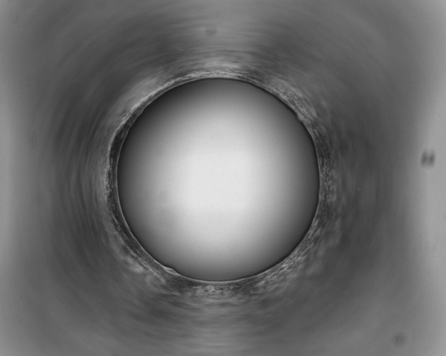 X0000100370338200806131042