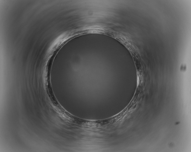 X0000100370339200806131042