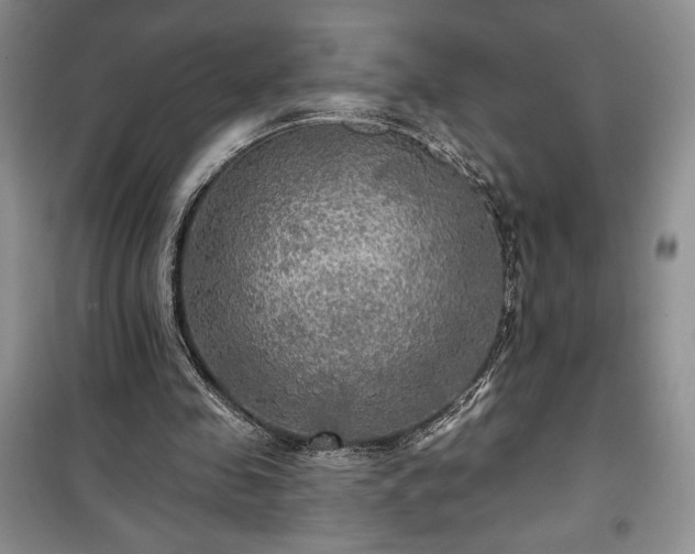 X0000100370341200806131042