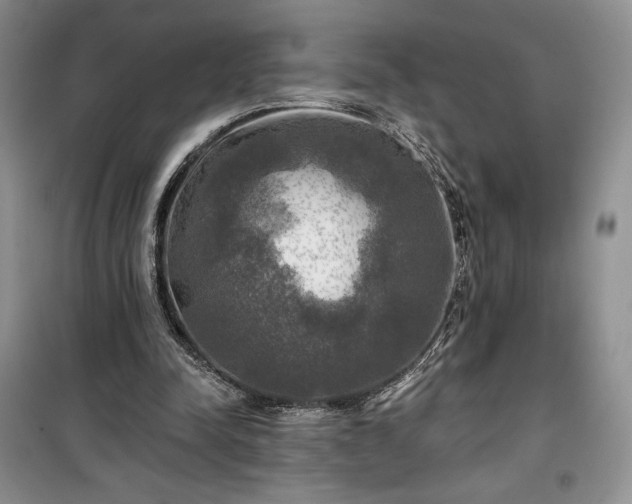 X0000100370342200806131042