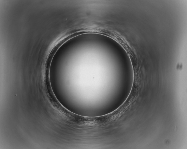 X0000100370344200806131042