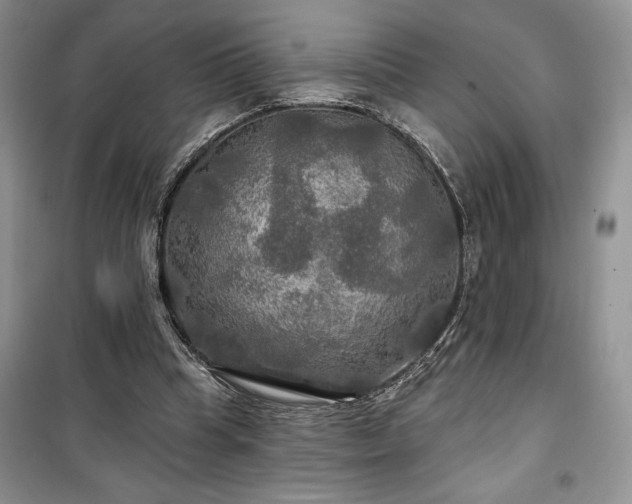 X0000100370345200806131042