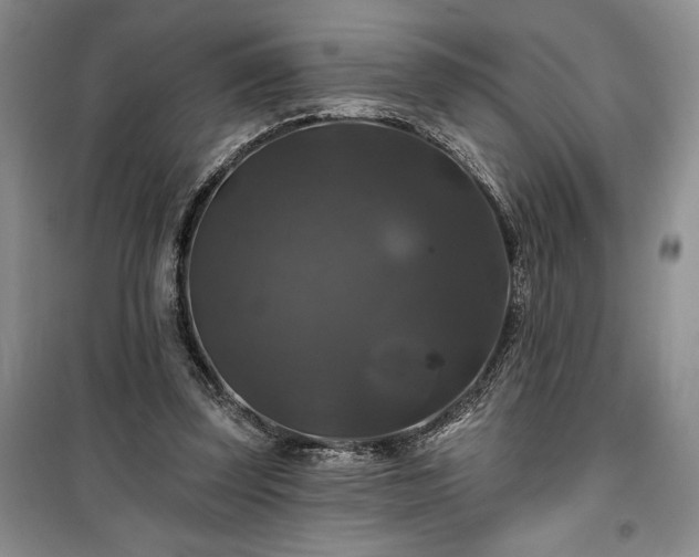 X0000100370347200806131042