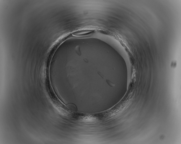 X0000100370348200806131042