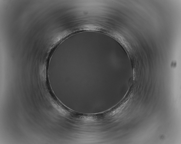 X0000100370349200806131042