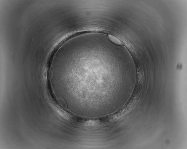 X0000100370350200806131042