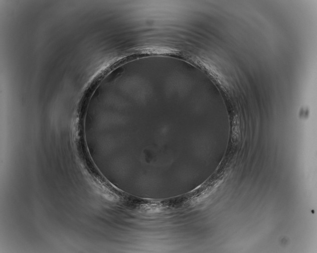 X0000100370351200806131042