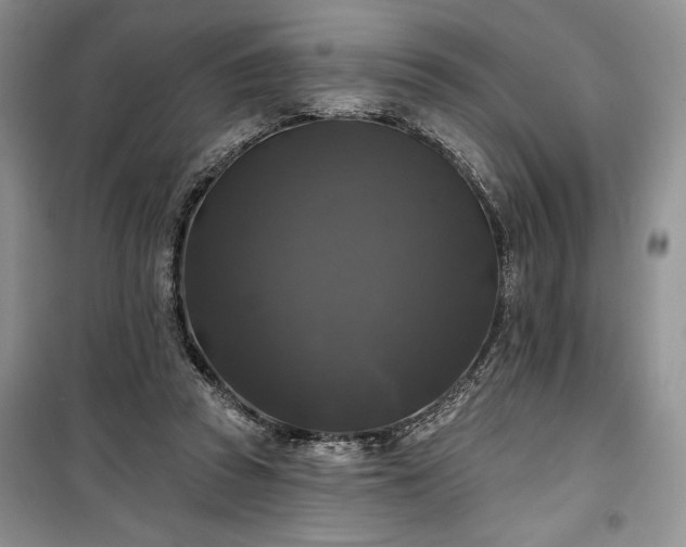 X0000100370353200806131042