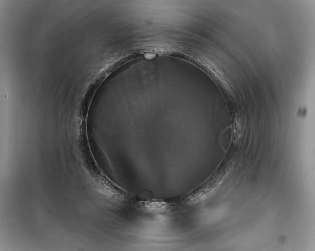 X0000100370355200806131042