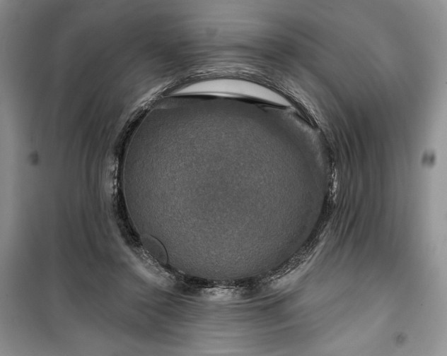 X0000100370356200806131042