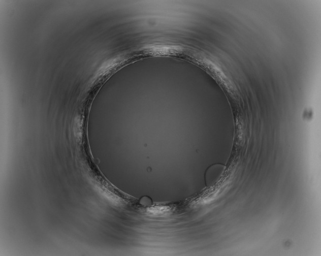 X0000100370357200806131043