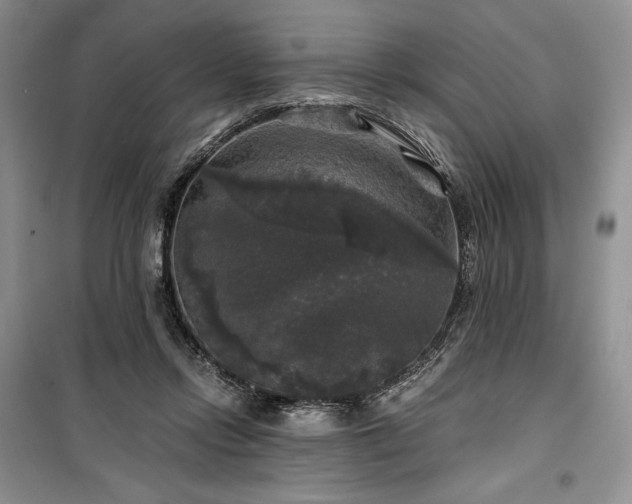 X0000100370358200806131043