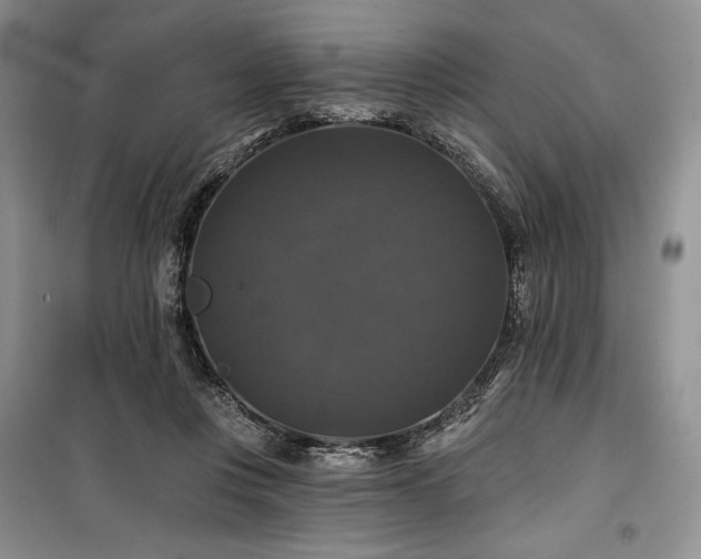 X0000100370359200806131043