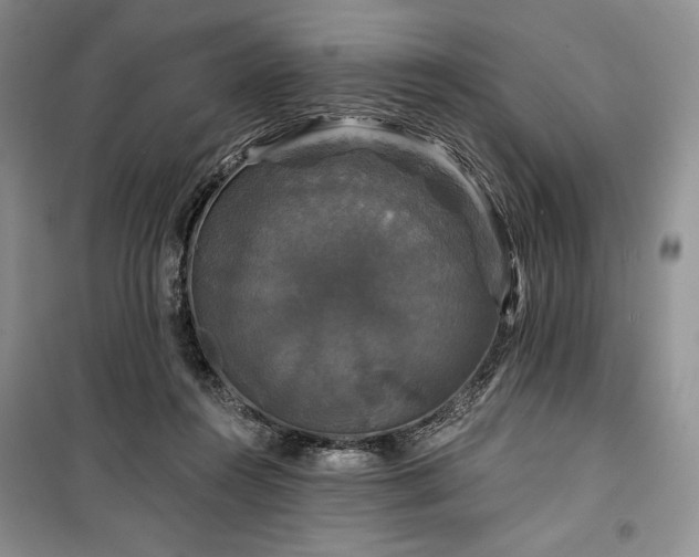 X0000100370360200806131043