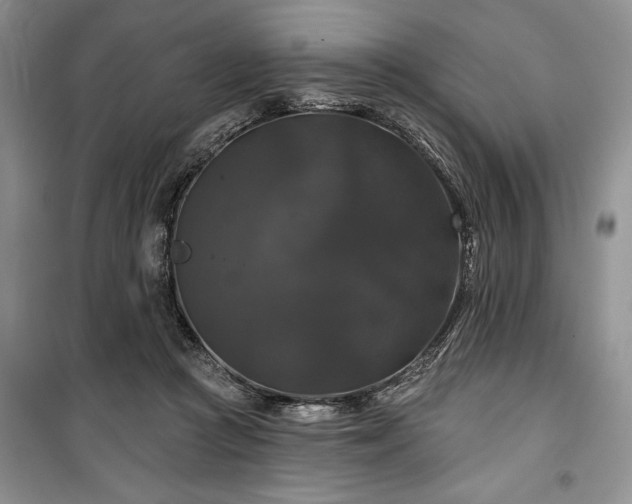 X0000100370361200806131043