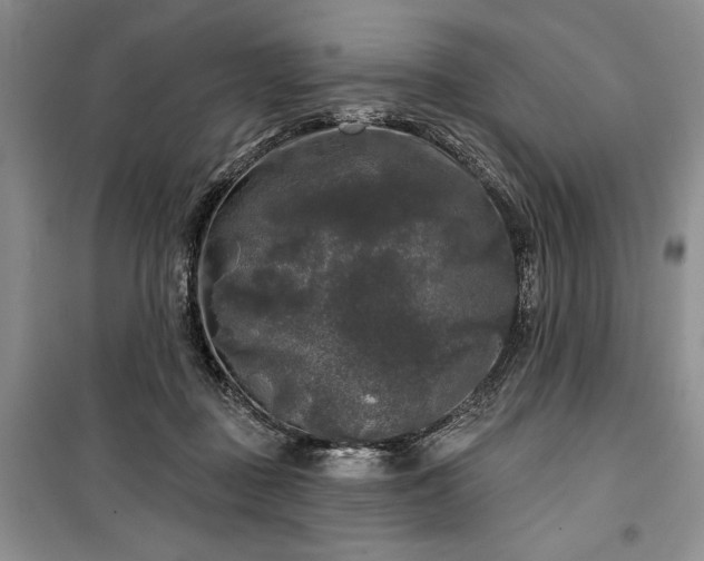 X0000100370363200806131043