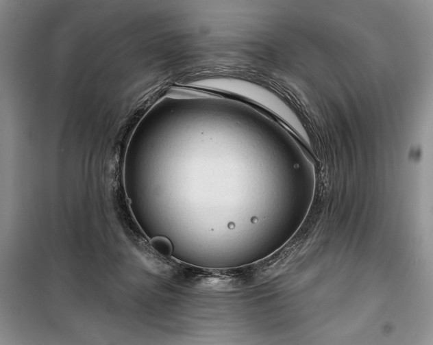 X0000100370364200806131043