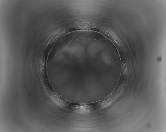 X0000100370365200806131043