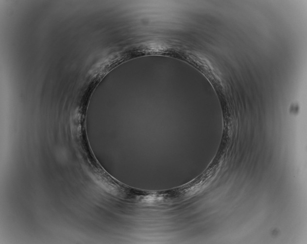 X0000100370366200806131043