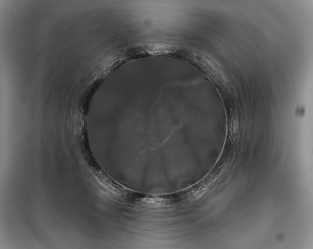 X0000100370367200806131043