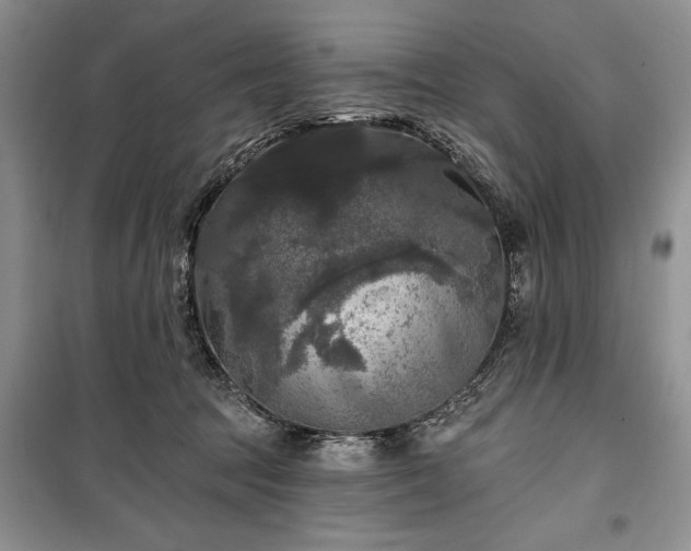 X0000100370369200806131043