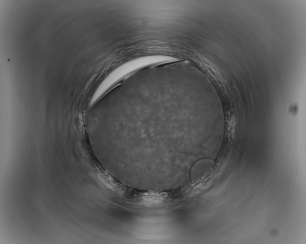 X0000100370373200806131043