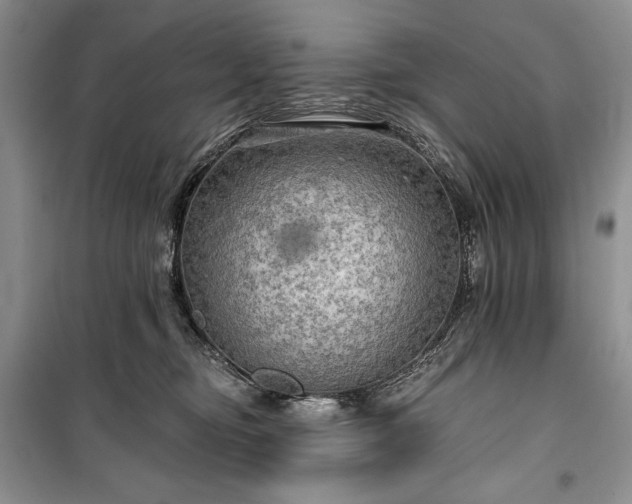 X0000100370374200806131043