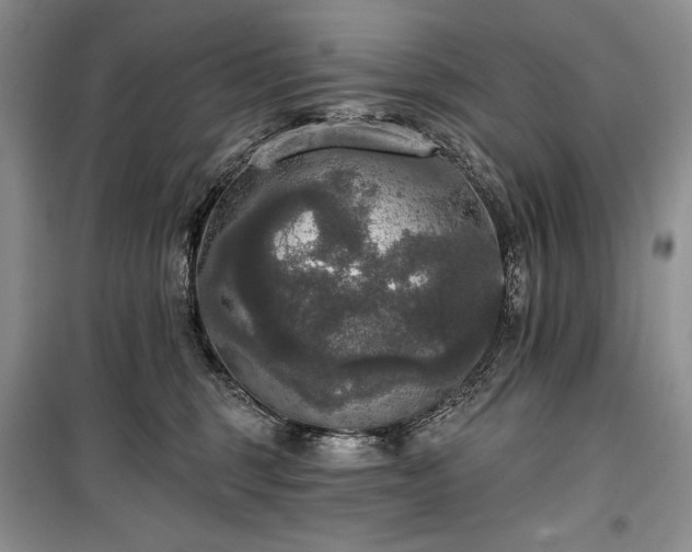 X0000100370375200806131043