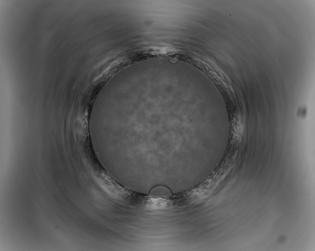 X0000100370376200806131043